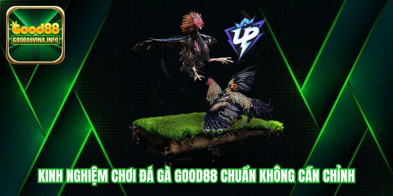 Kinh nghiệm chơi đá gà Good88 chuẩn không cần chỉnh
