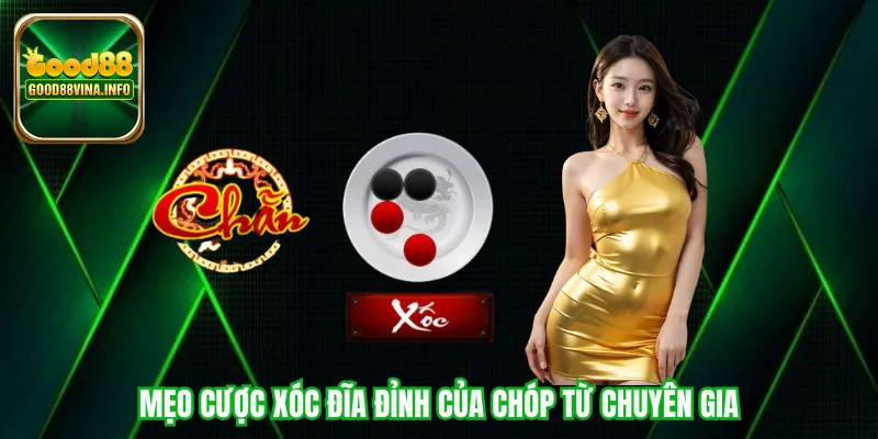 Mẹo cược xóc đĩa đỉnh của chóp từ chuyên gia